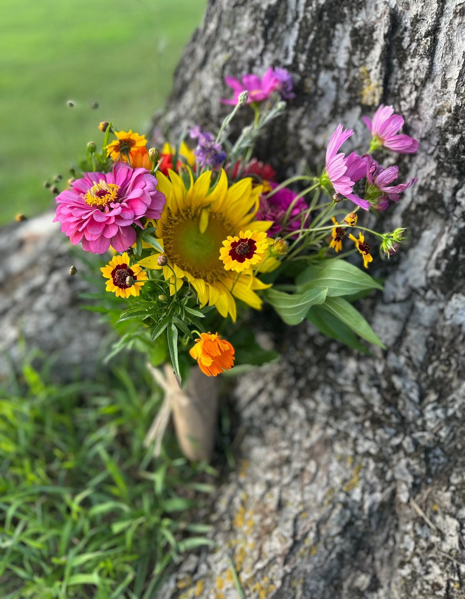 U-Pick Flowers